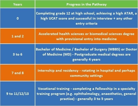 How long does it take to become a doctor? - My Health Career